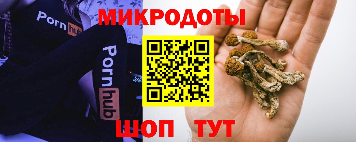 Галлюциногенные грибы Magic Shrooms Кизилюрт